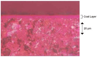 GLASTIX KOTE™ Cross-section (Grade:GP2B)
